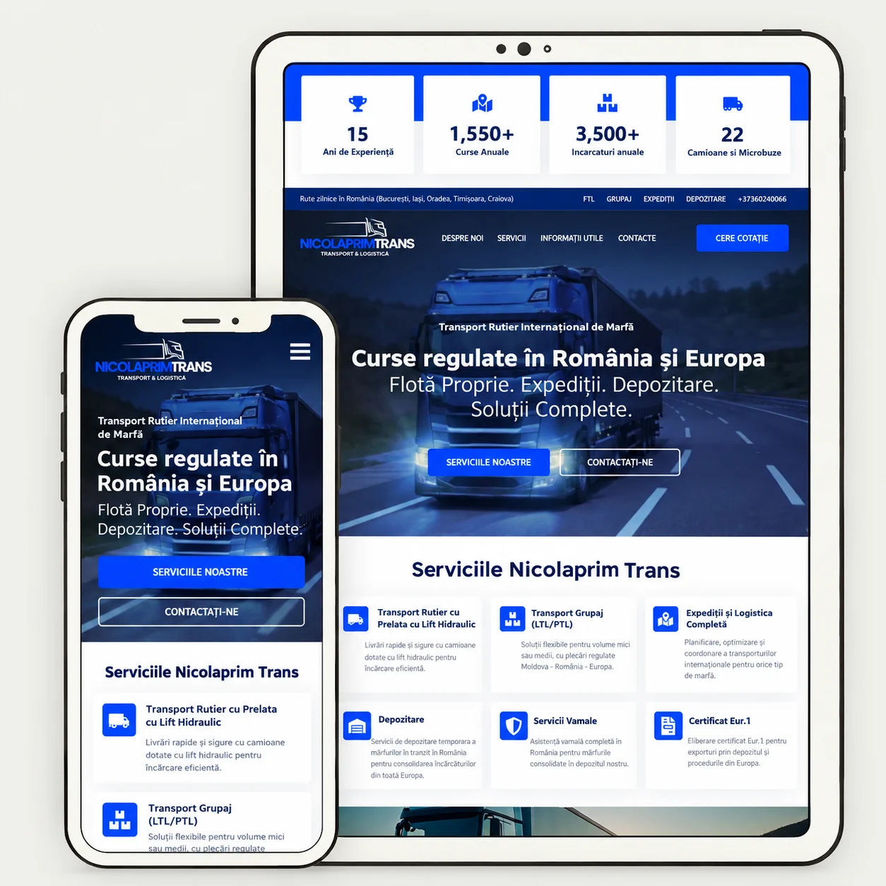 Nicolaprim — previzualizarea designului site-ului