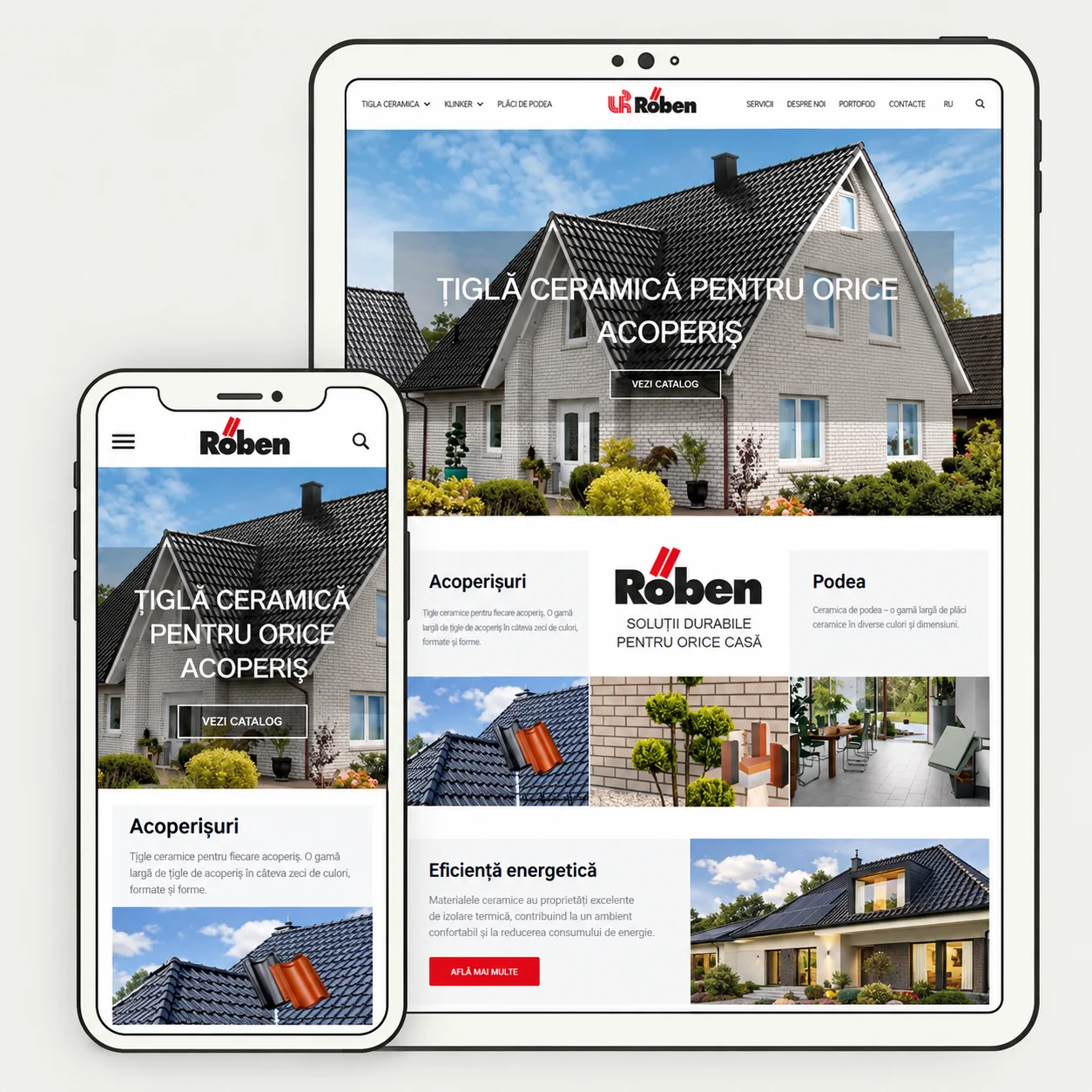 Röben — previzualizarea designului site-ului
