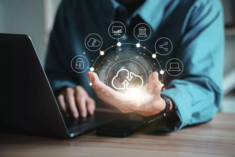 Custom Management Software for Businesses