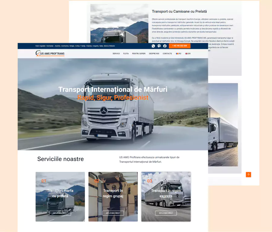 US-AMG-PROFTRANS artaddict design